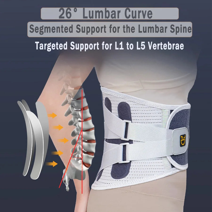 Back Brace Support Belt for Lower Back Pain Relief Adjustable Men Women Waist Lumbar Support Sciatica Scoliosis Herniated Disc